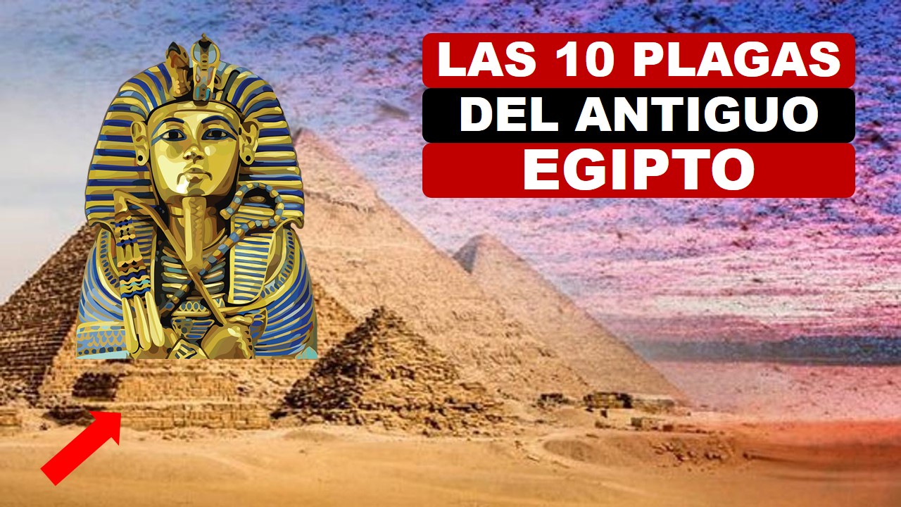 Las 10 plagas del antiguo egipto no fueron castigo divino