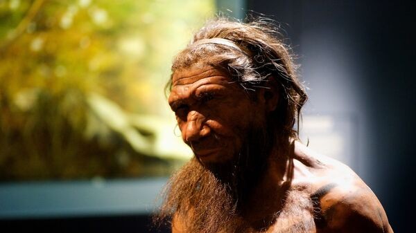 UN VIEJO CRÁNEO RECONSTRUIDO EN CHINA PONDRÍA EN DUDA LA CRONOLOGÍA DE LA EVOLUCIÓN HUMANA