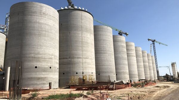 QUITA DE RETENCIONES AL CAMPO: LA APUESTA URGENTE DE MILEI EN BUSCA DE DÓLARES